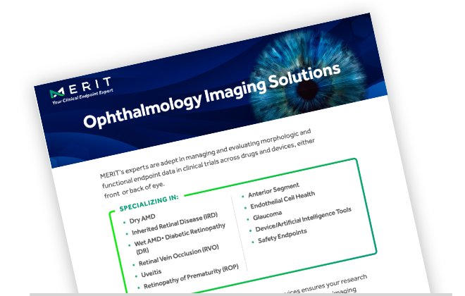 preview of solution guide pdf